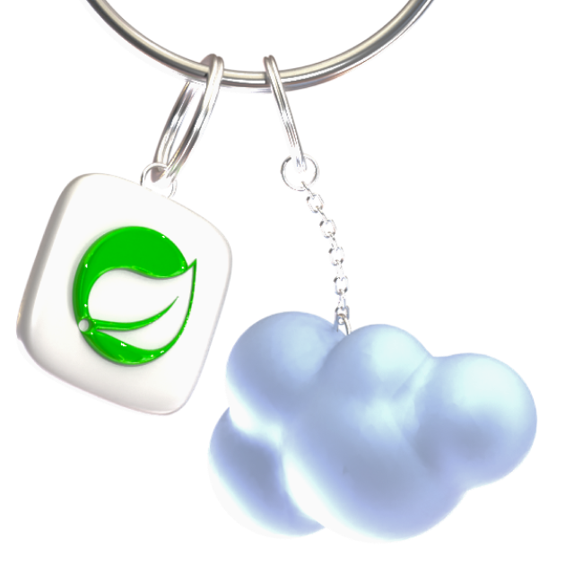Server
Developer